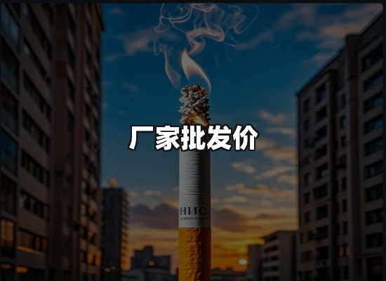 专业优势
